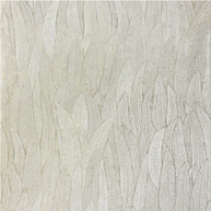 Cinerea by Casamance