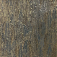 Cinerea by Casamance