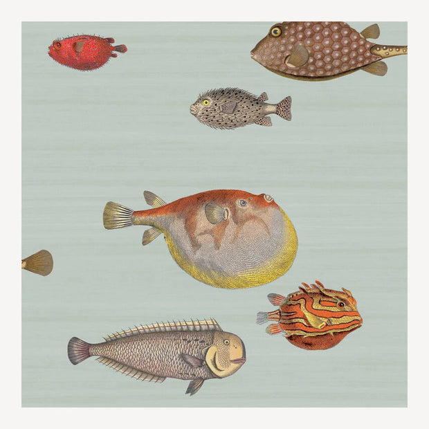 Carta da parati Acquario by Fornasetti - Cole&Son
