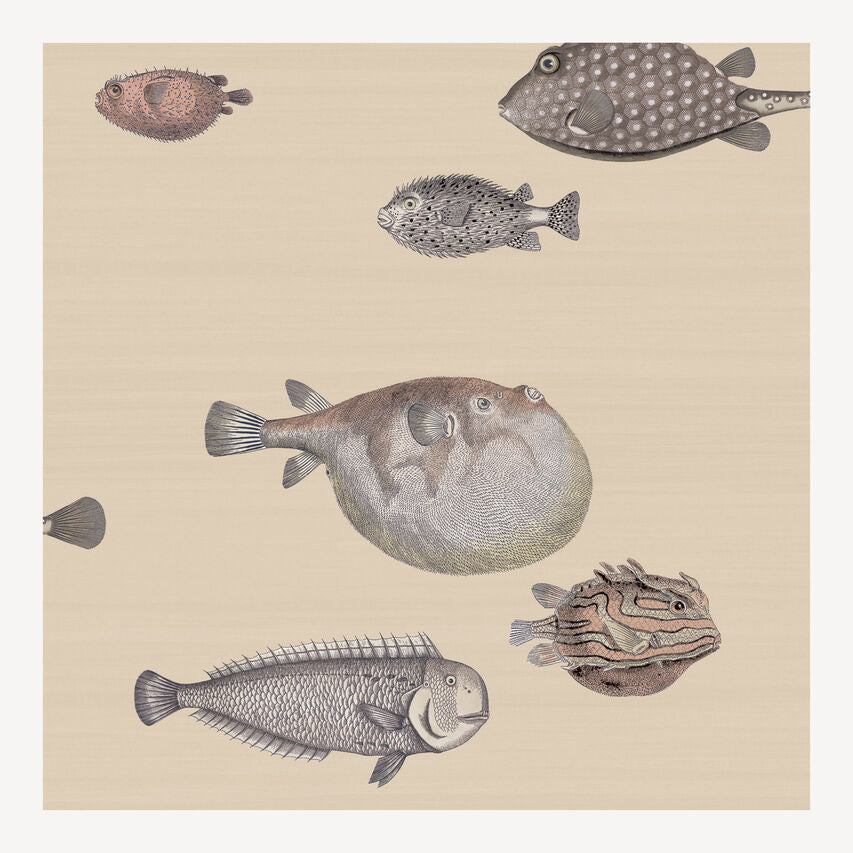Carta da parati Acquario by Fornasetti - Cole&Son
