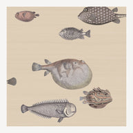 Carta da parati Acquario by Fornasetti - Cole&Son