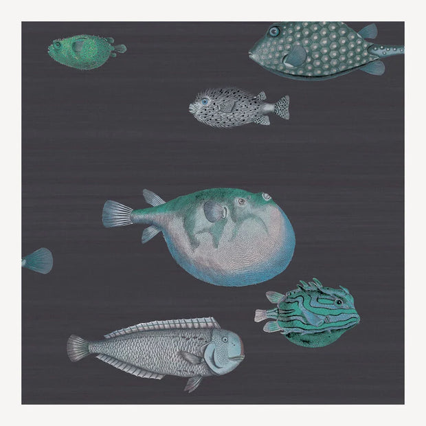 Carta da parati Acquario by Fornasetti - Cole&Son