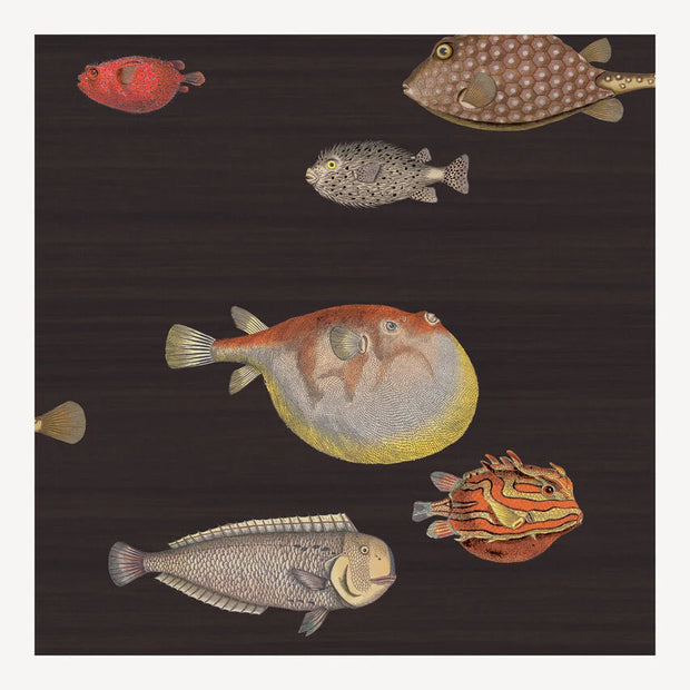 Carta da parati Acquario by Fornasetti - Cole&Son