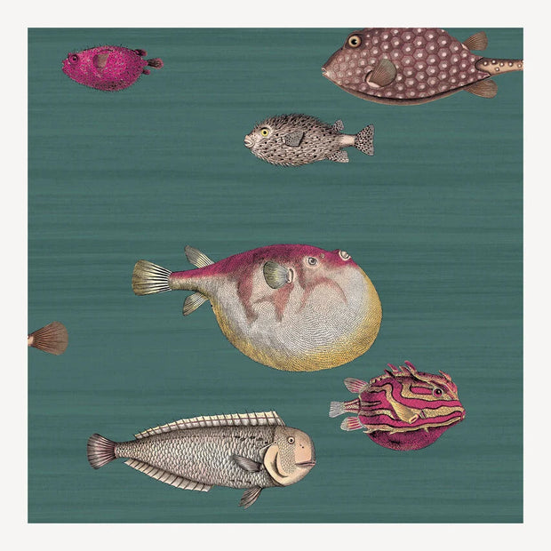 Carta da parati Acquario by Fornasetti - Cole&Son