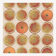 Carta da parati Arance by Fornasetti - Cole&Son