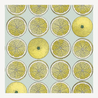 Carta da parati Arance by Fornasetti - Cole&Son