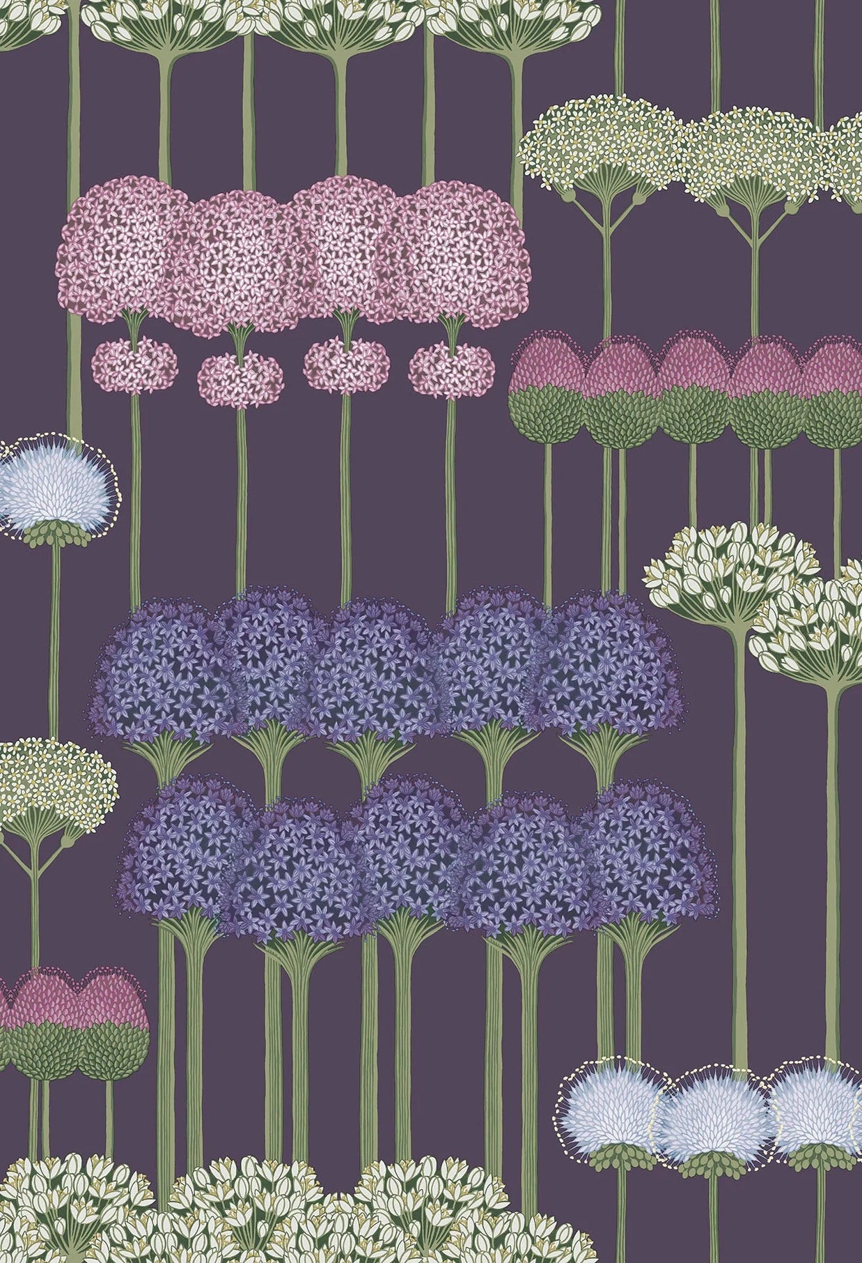 Allium by Cole&Son