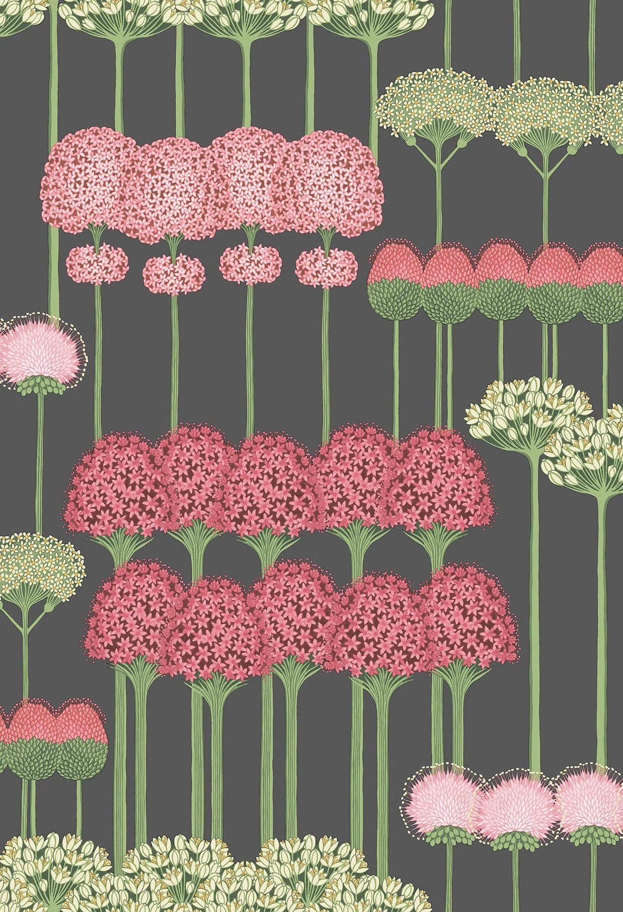 Allium by Cole&Son