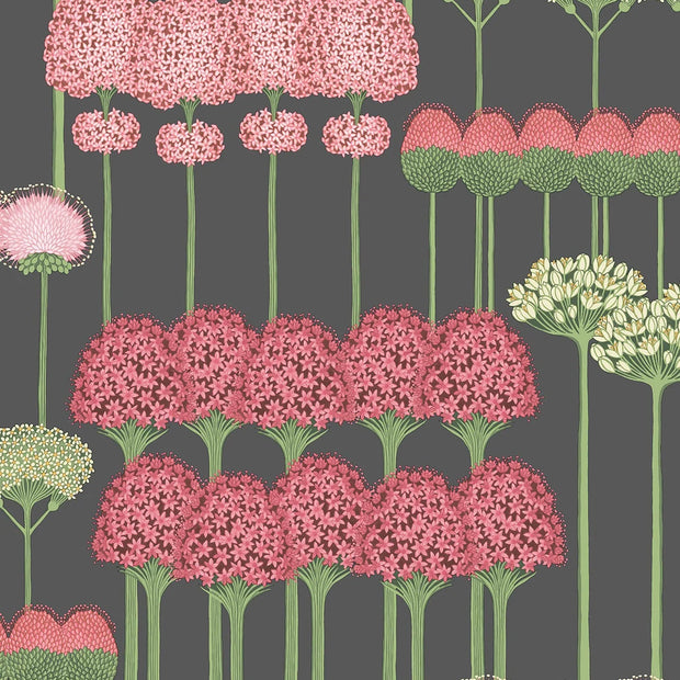 Allium by Cole&Son