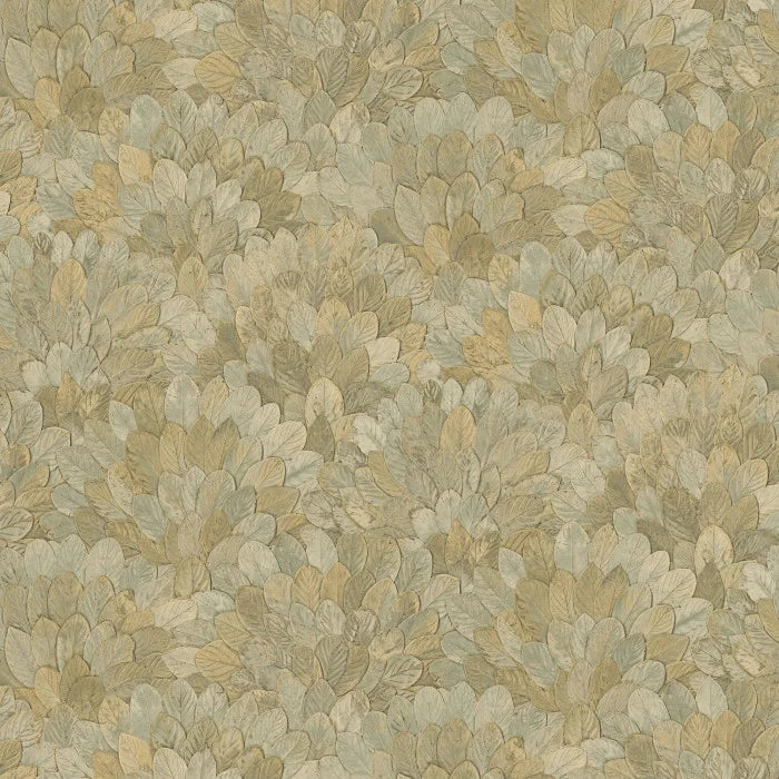 Feijoa by Casamance