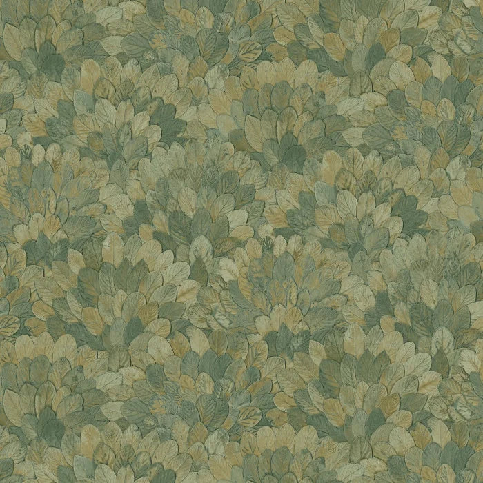 Feijoa by Casamance