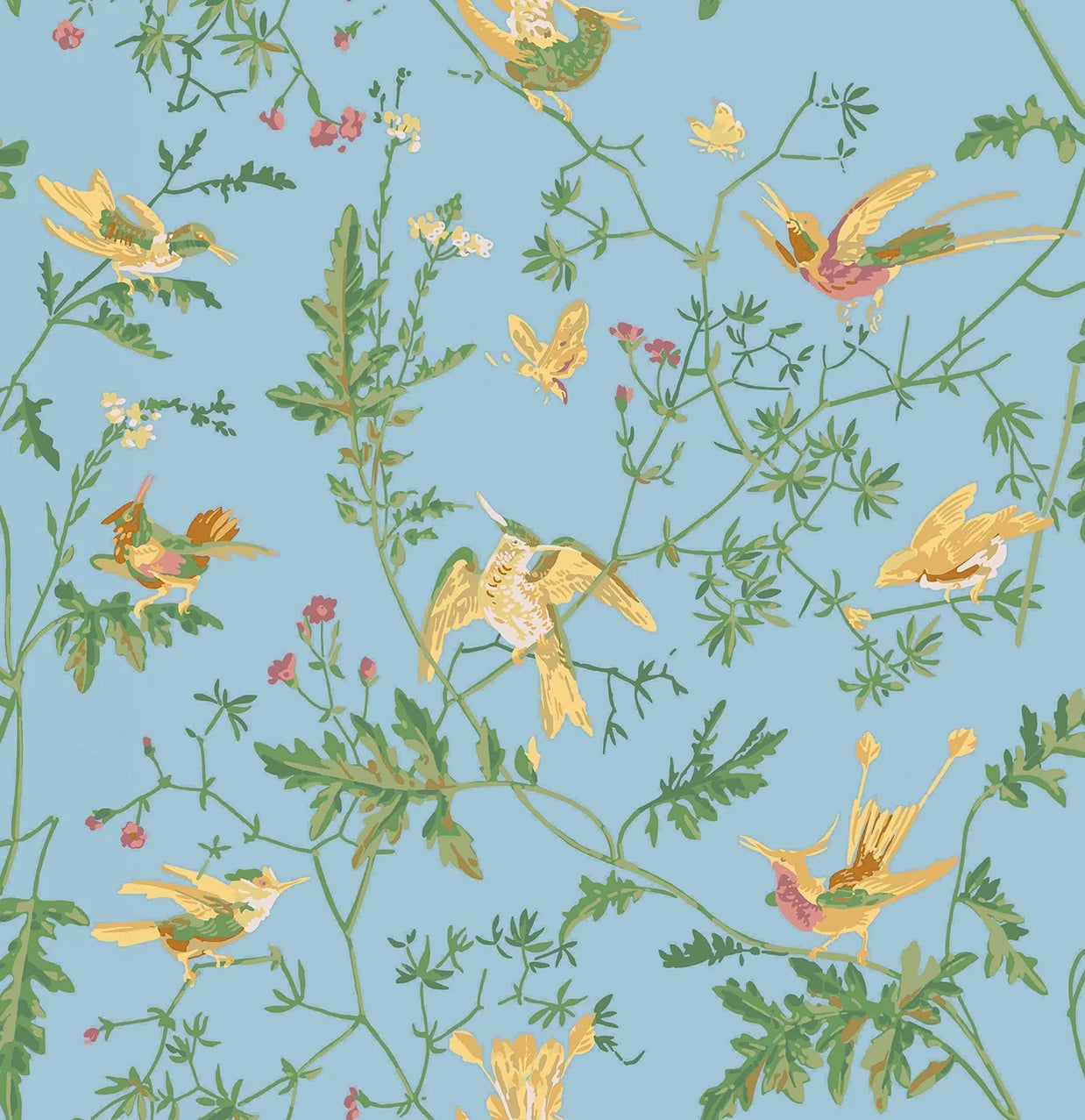 Hummingbirds by Cole&Son