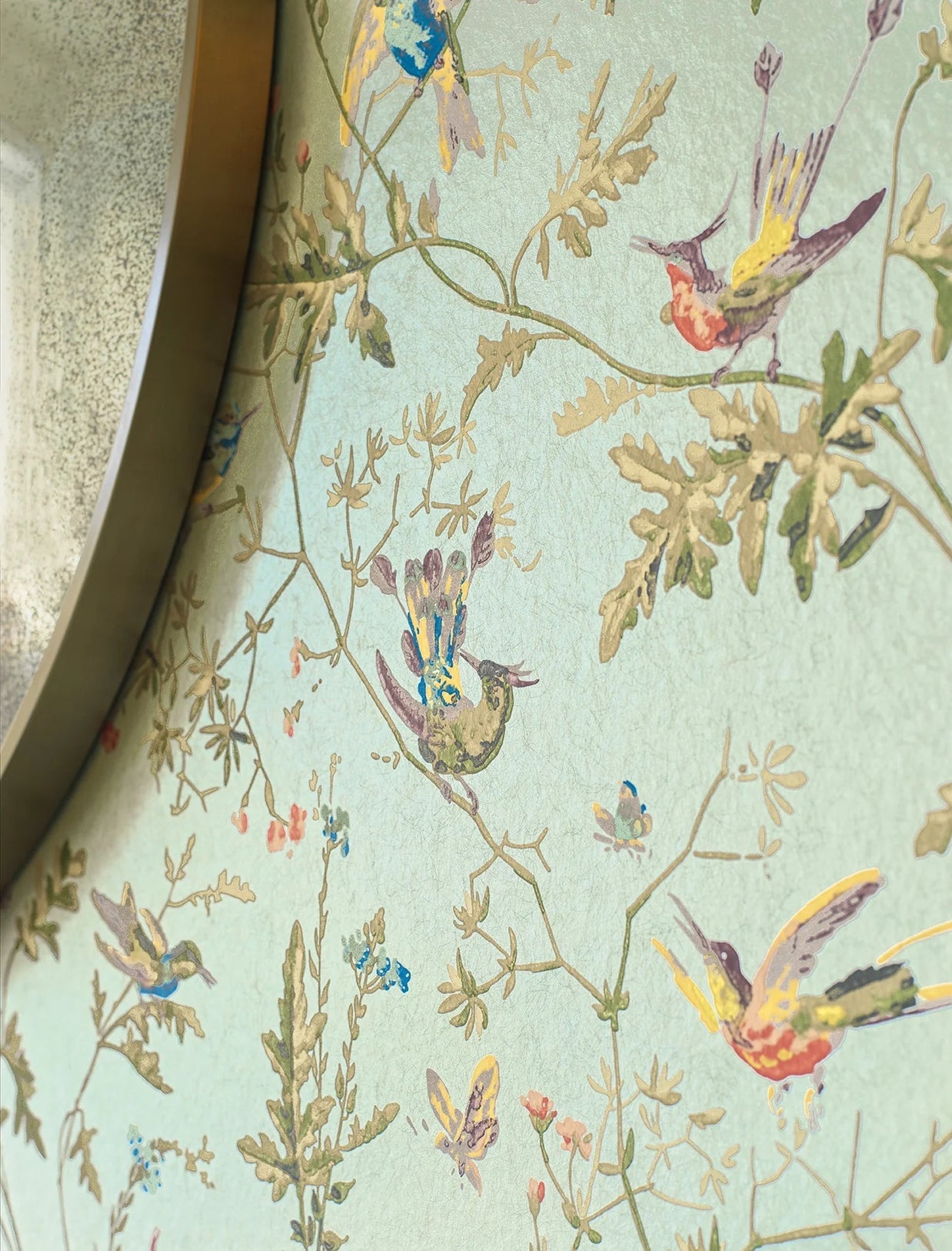 Hummingbirds by Cole&Son