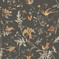Hummingbirds by Cole&Son