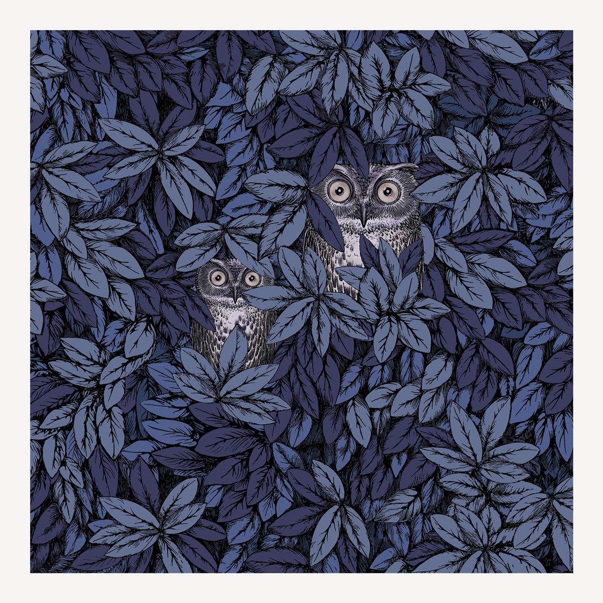 Foglie e Civette by Fornasetti - Cole & Son