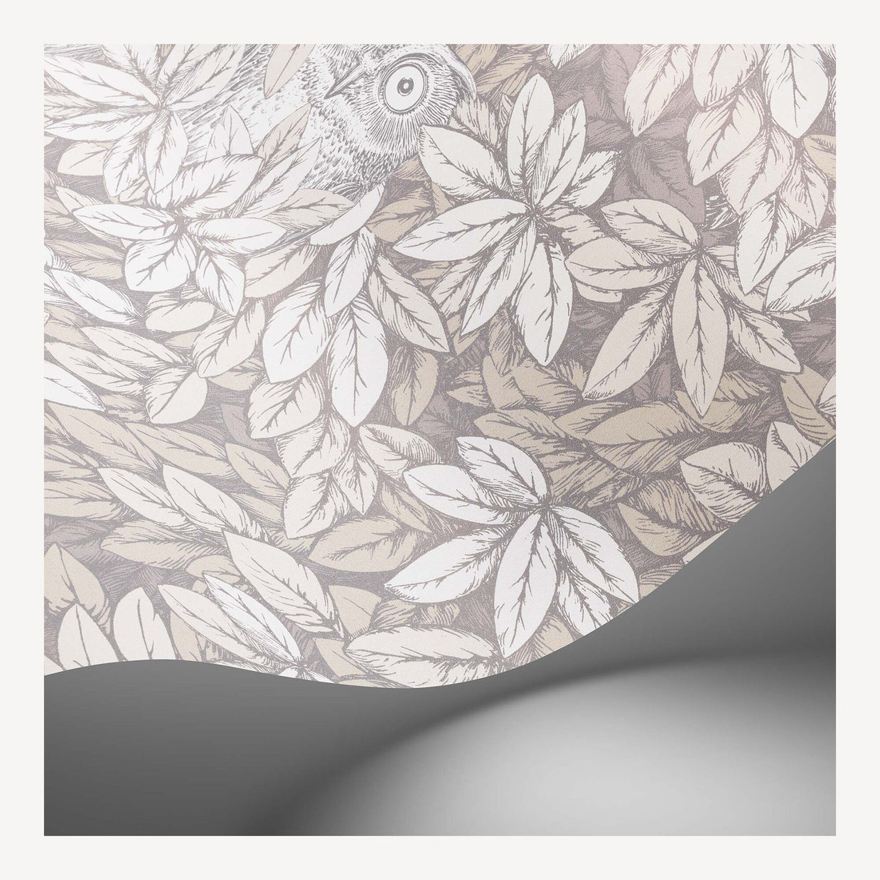 Foglie e Civette by Fornasetti - Cole & Son