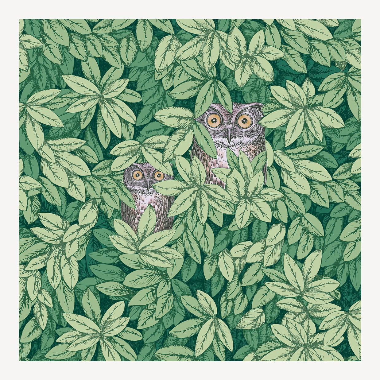 Foglie e Civette by Fornasetti - Cole & Son