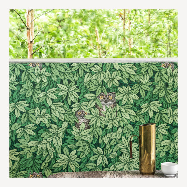Foglie e Civette by Fornasetti - Cole & Son