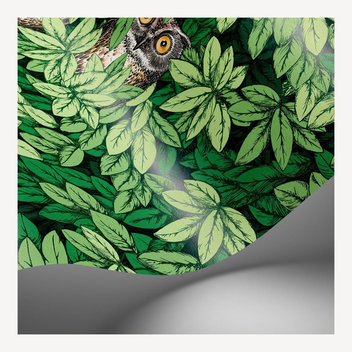 Foglie e Civette by Fornasetti - Cole & Son
