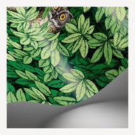 Foglie e Civette by Fornasetti - Cole & Son