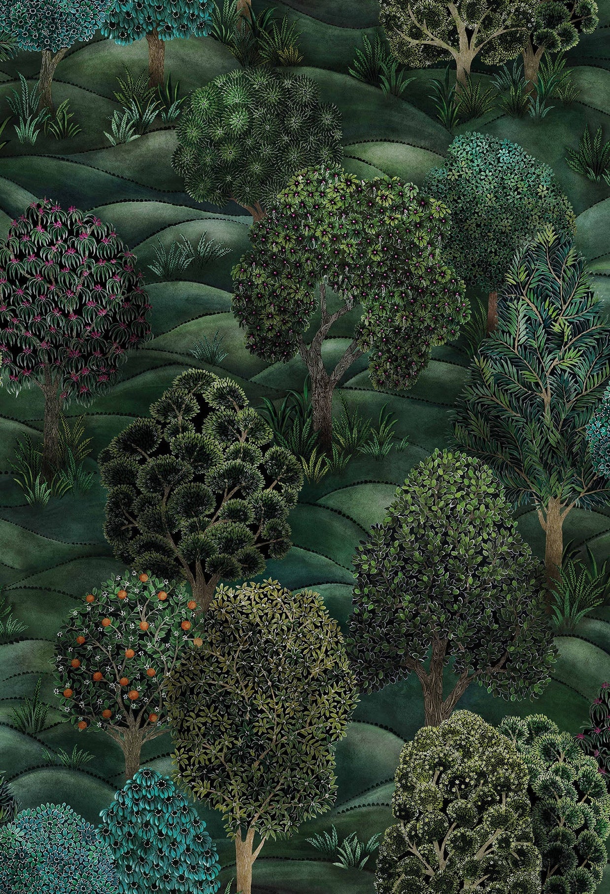 Forest - Cole&son