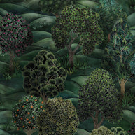 Forest - Cole&son