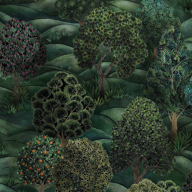 Forest - Cole&son