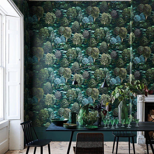Forest - Cole&son