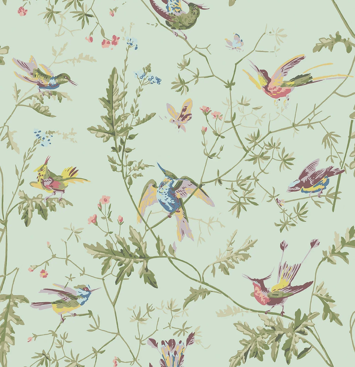 Hummingbirds by Cole&Son