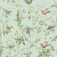 Hummingbirds by Cole&Son