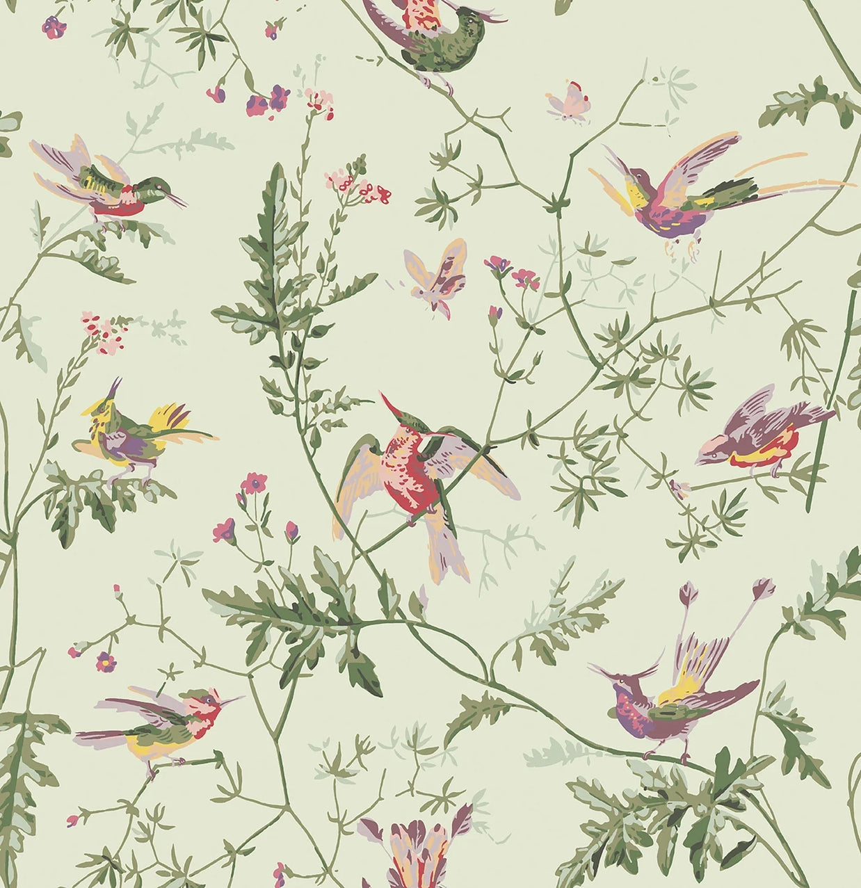 Hummingbirds by Cole&Son