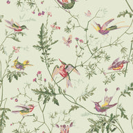 Hummingbirds by Cole&Son