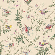 Hummingbirds by Cole&Son