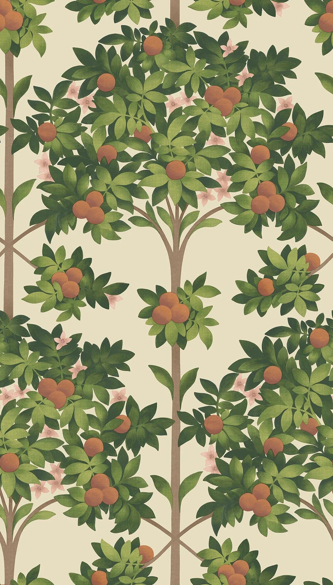 Orange Blossom
