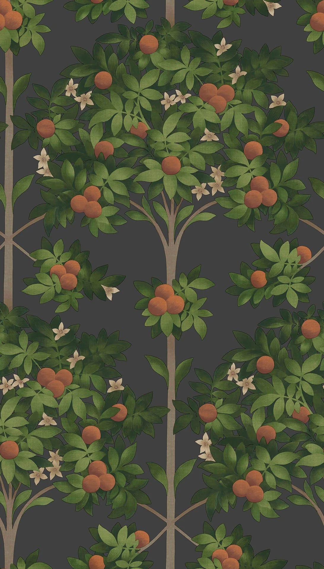 Orange Blossom