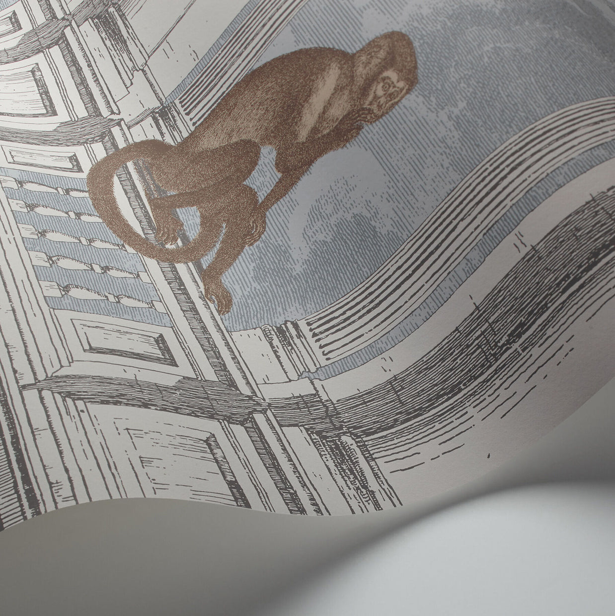 Scimmia Procuratie con Vista - Fornasetti by Cole&Son