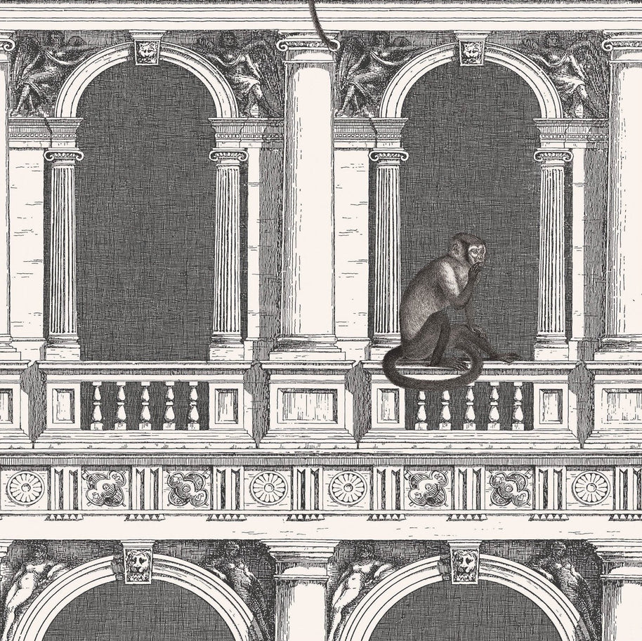 Scimmia Procuratie con Vista - Fornasetti by Cole&Son