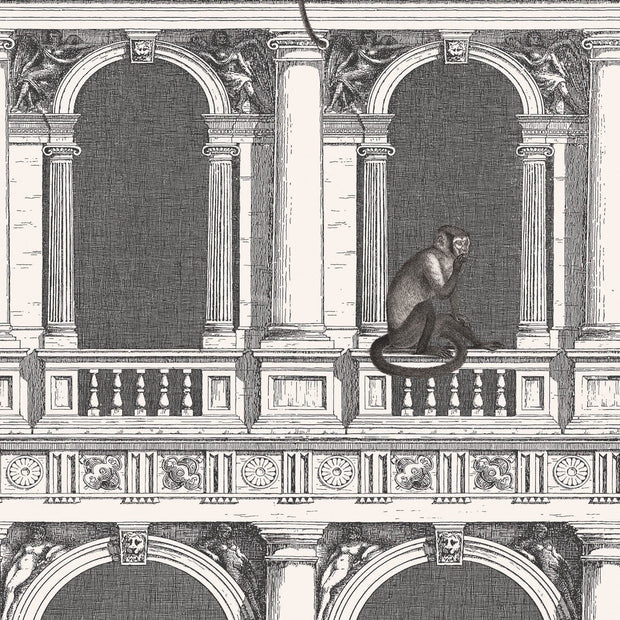 Scimmia Procuratie con Vista - Fornasetti by Cole&Son