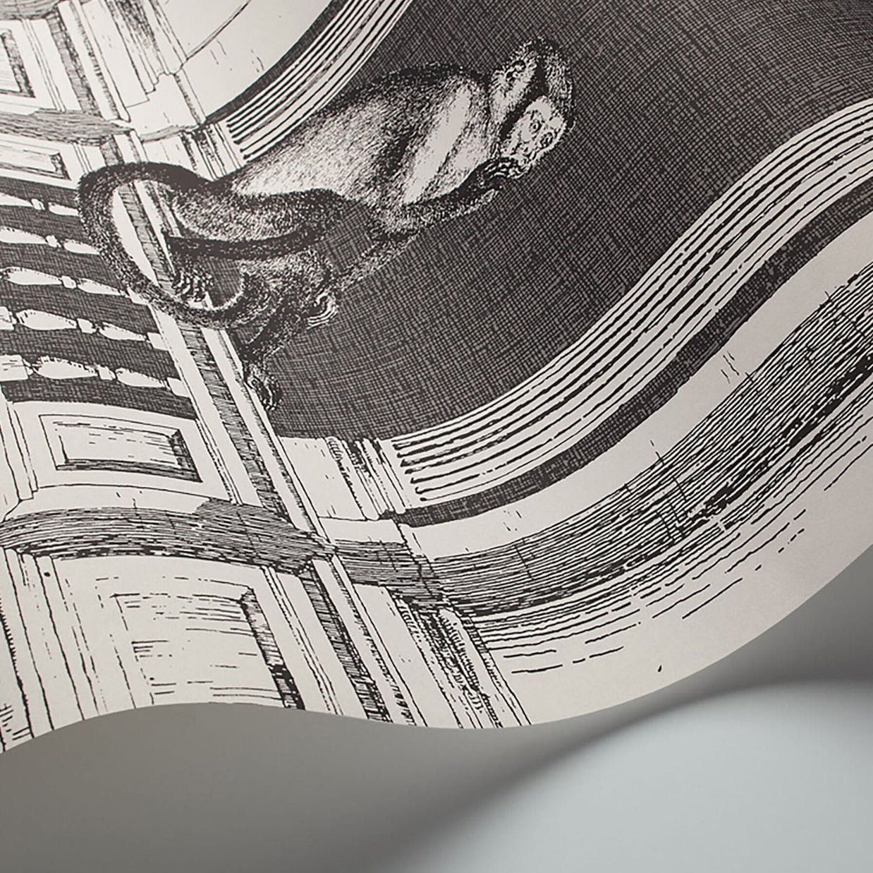 Scimmia Procuratie con Vista - Fornasetti by Cole&Son