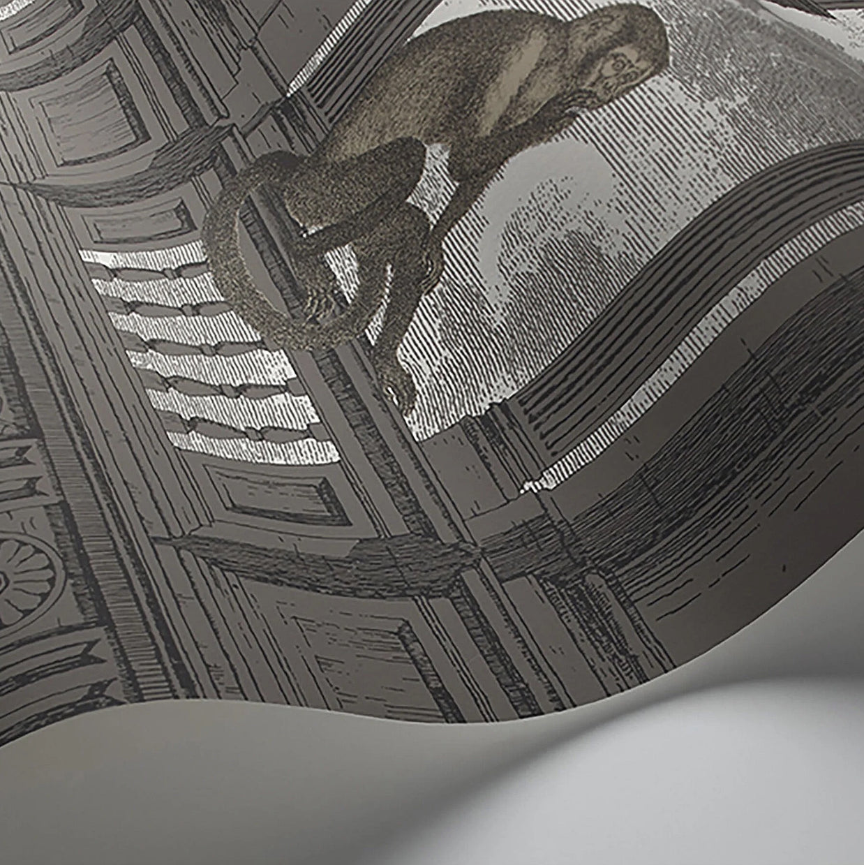 Scimmia Procuratie con Vista - Fornasetti by Cole&Son