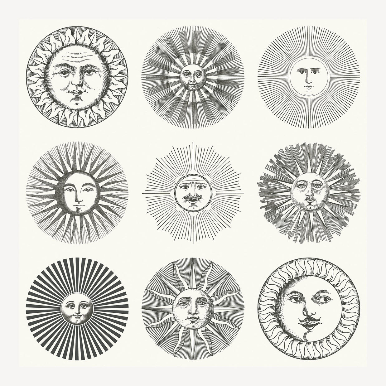 Carta da parati Soli by Fornasetti - Cole&Son
