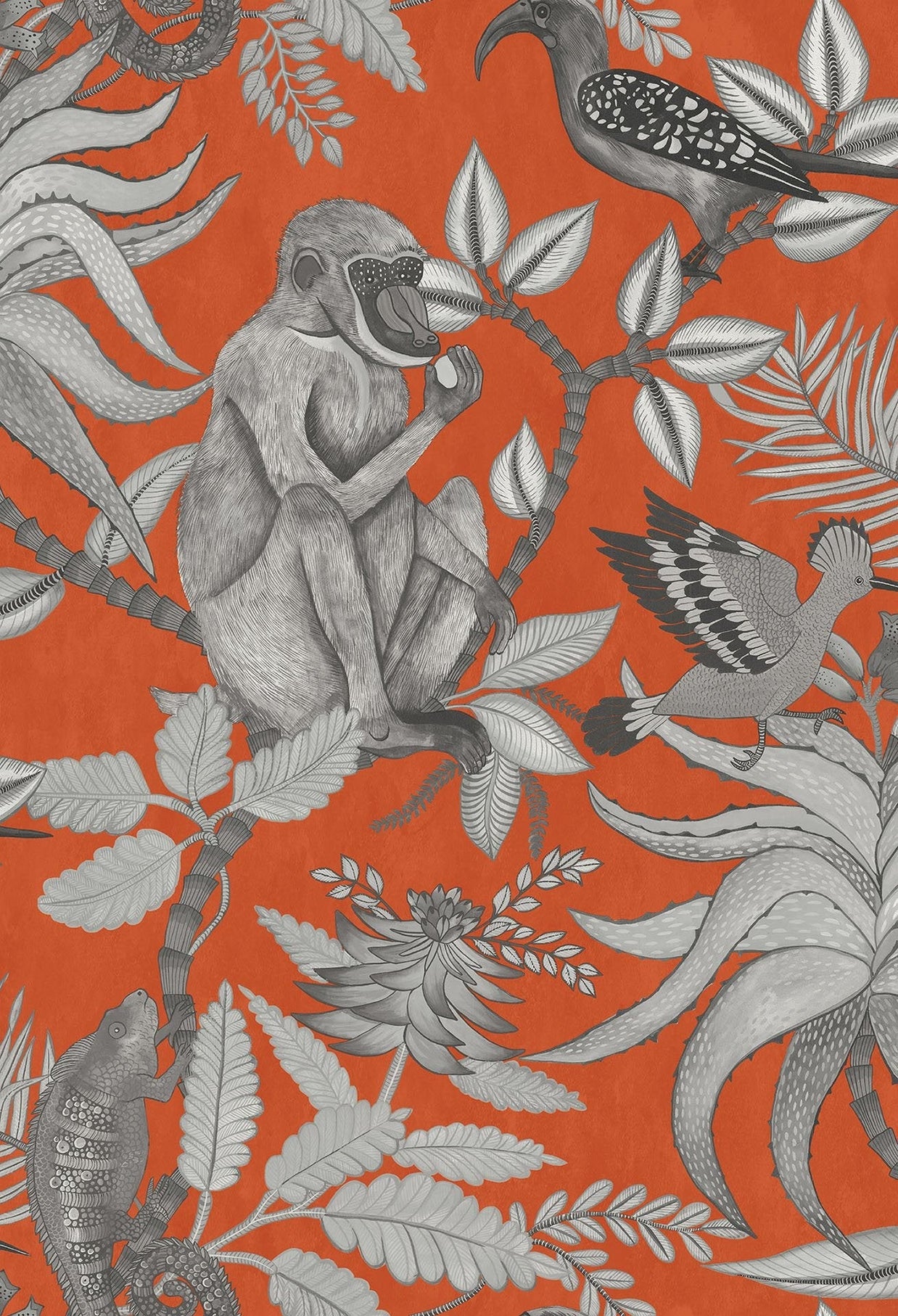 Savuti - Cole&son