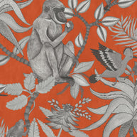 Savuti - Cole&son