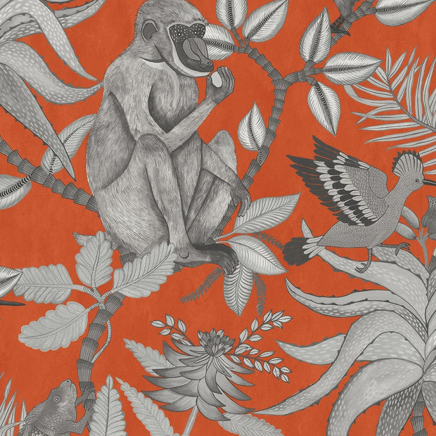Savuti - Cole&son