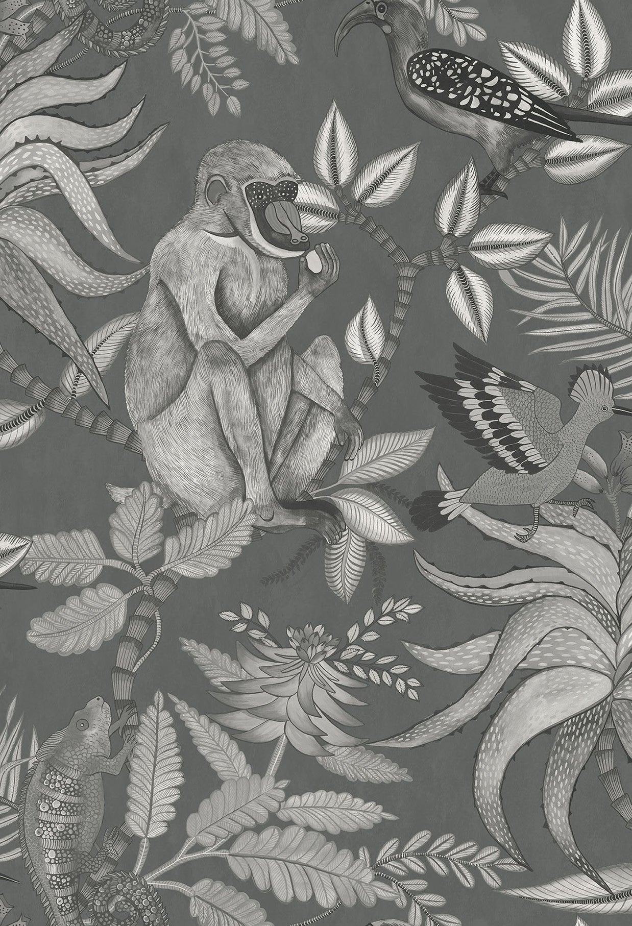 Savuti - Cole&son