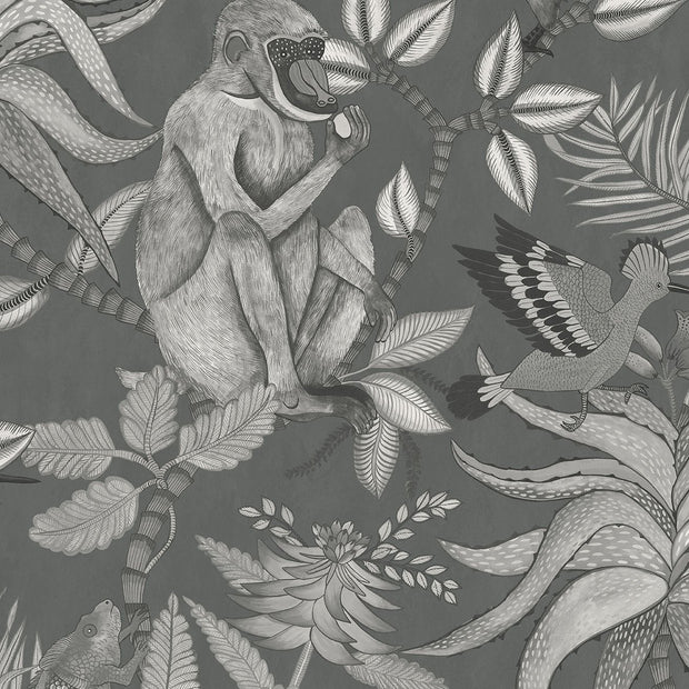 Savuti - Cole&son