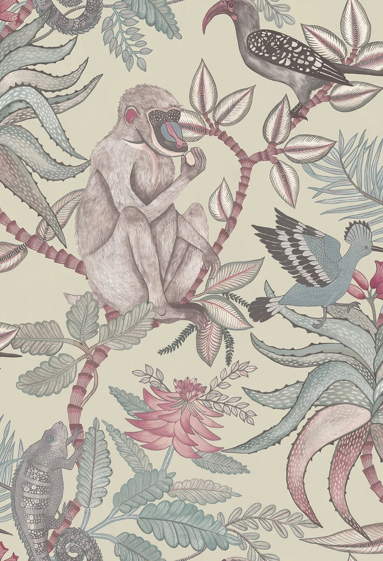 Savuti - Cole&son