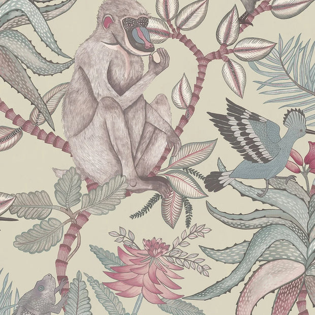 Savuti - Cole&son
