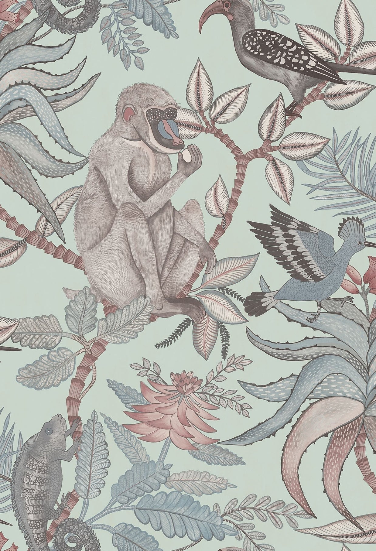 Savuti - Cole&son