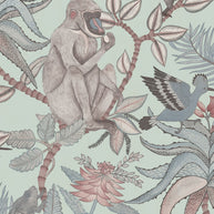 Savuti - Cole&son